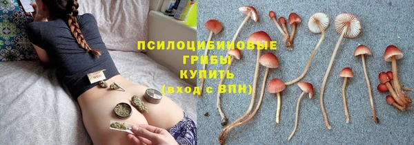 бошки Лиски