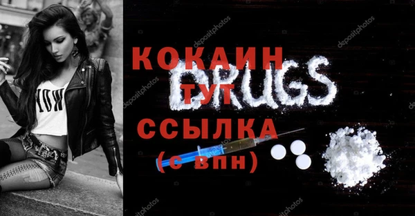 твердый Долгопрудный